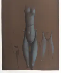 1969 | Salomo VII 2: Deine Lenden stehen gleich aneinander wie zwei Spangen