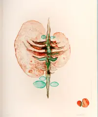 1963 | »Kleine Anatomie«, Blatt 6