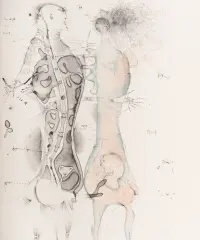 1963 | »Kleine Anatomie«, Blatt 7