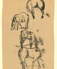 1948 | Studie mit 4 Pferden