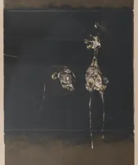 1963 | Création d'une femme V (Plakat Sydow)