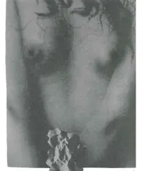 1973 | Torso mit roter Blume