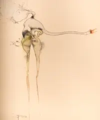 1962 | »Leda«, Blatt 5