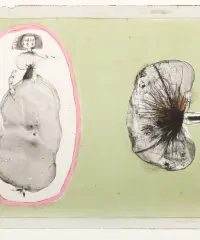 1960 | Lady Butterfly (homm. à Paul Reissert)