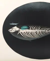 1968 | Der große und der kleine Fisch